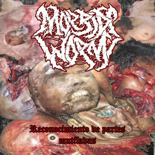 Reconocimiento de Partes Mutiladas